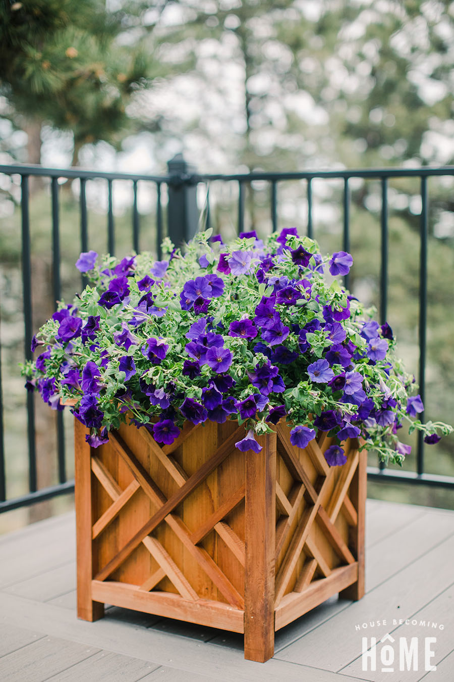 DIY Cedar Chippendale Planter. Full instructions and printable PDF plans!