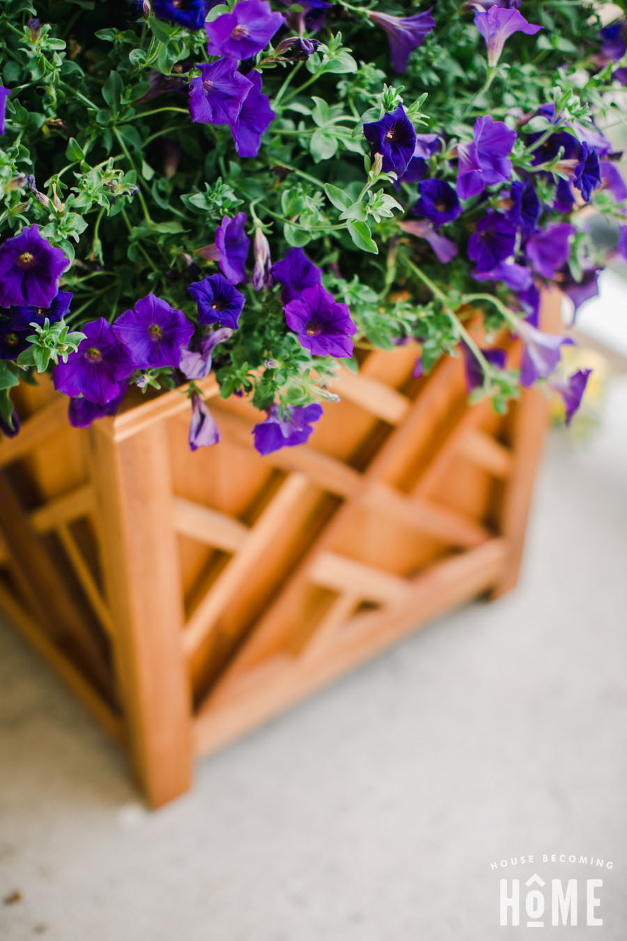 DIY Cedar Chippendale Planter. Full instructions and printable PDF plans!