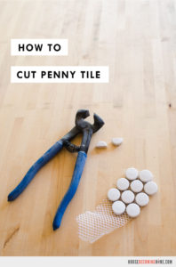 Learn How To Cut Penny Tile with a Simple Pair of Tile Nippers. Instructions and quick video!