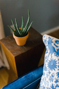 Aloe Plant on Side Table in Living Room Makeover