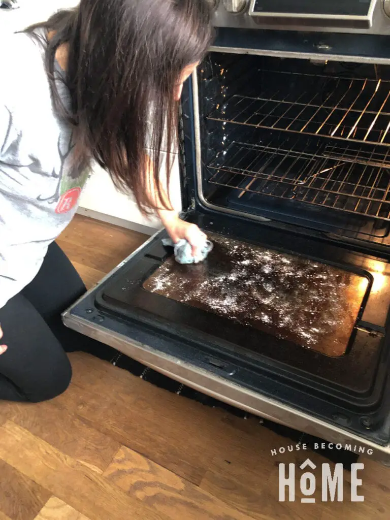 Cleaning Oven Glass with Bar Keepers Friend